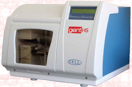 Giant HS